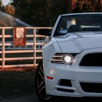 اجاره خودرو/موستانگ کروک/رنت ماشین/کرایه۲۰۱۴