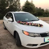 اجاره خودرو vip تشریفات کرایه ماشین عروس